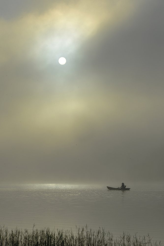 A foggy morning on the lake