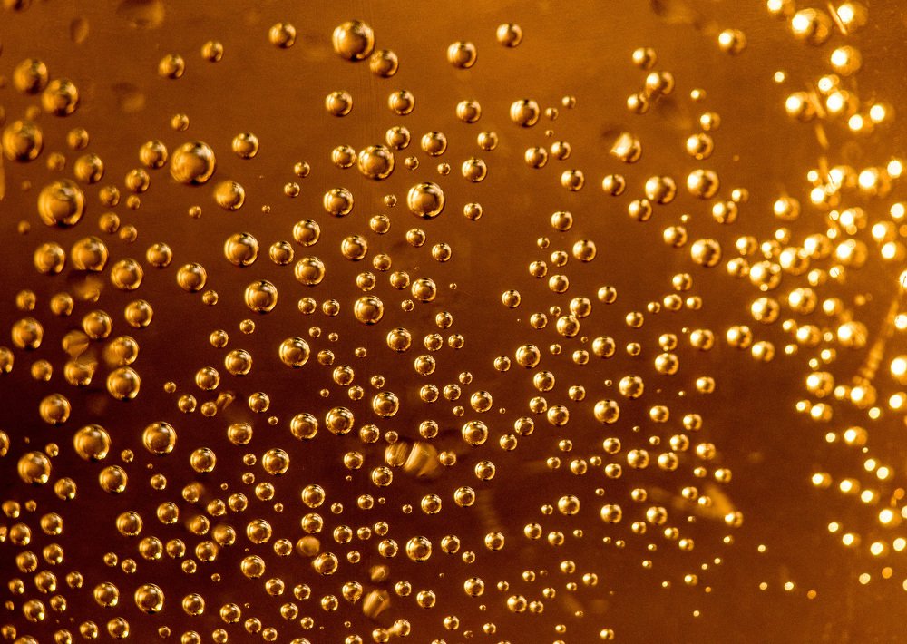 Фотография автора Лариса Никитенко