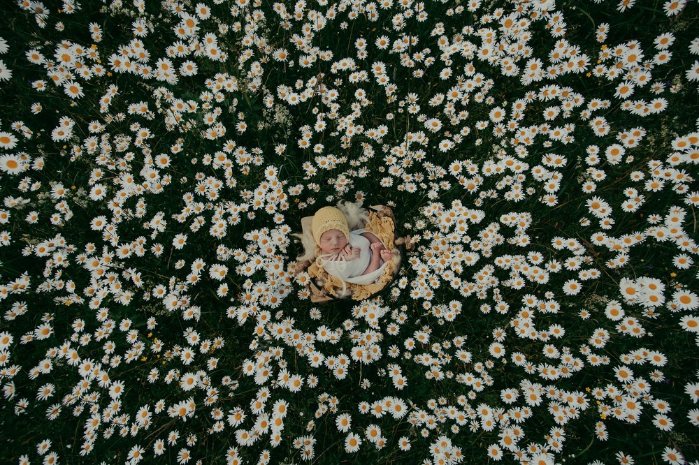 Photograph by Иван Заманухин