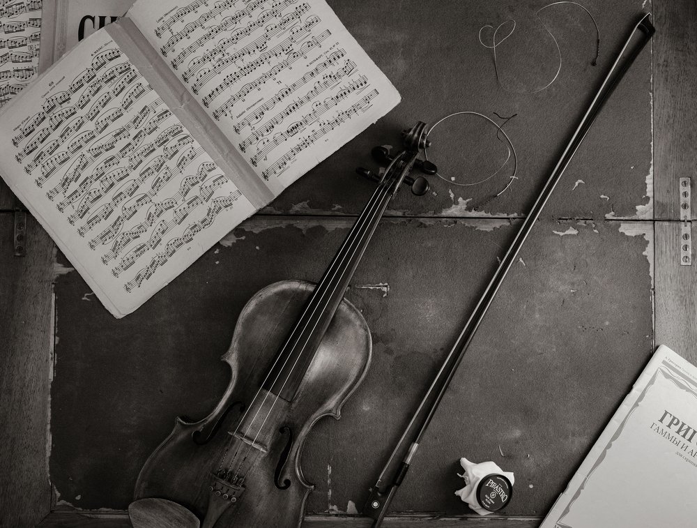 Скрипка и её верные друзья.