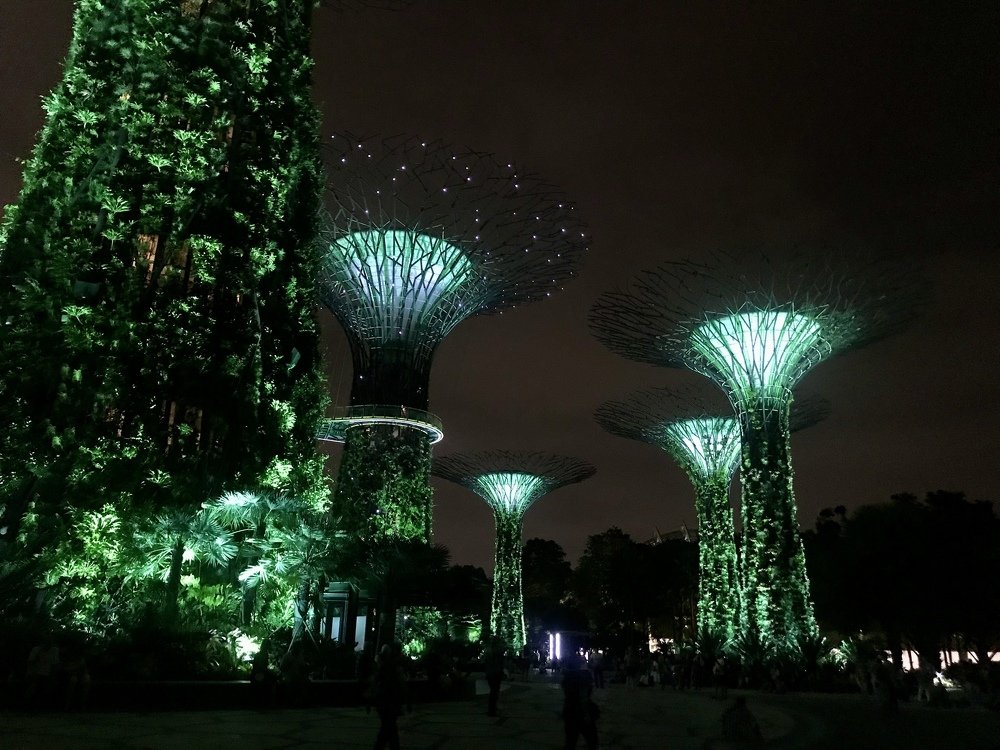 Photograph by Мария Шрейдер