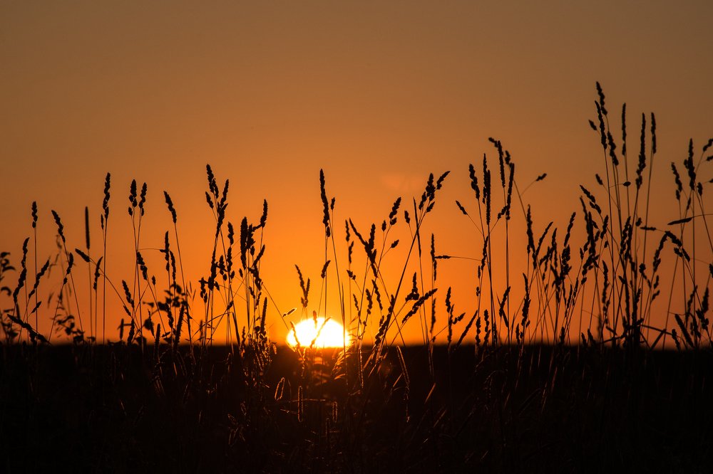 Золотой закат