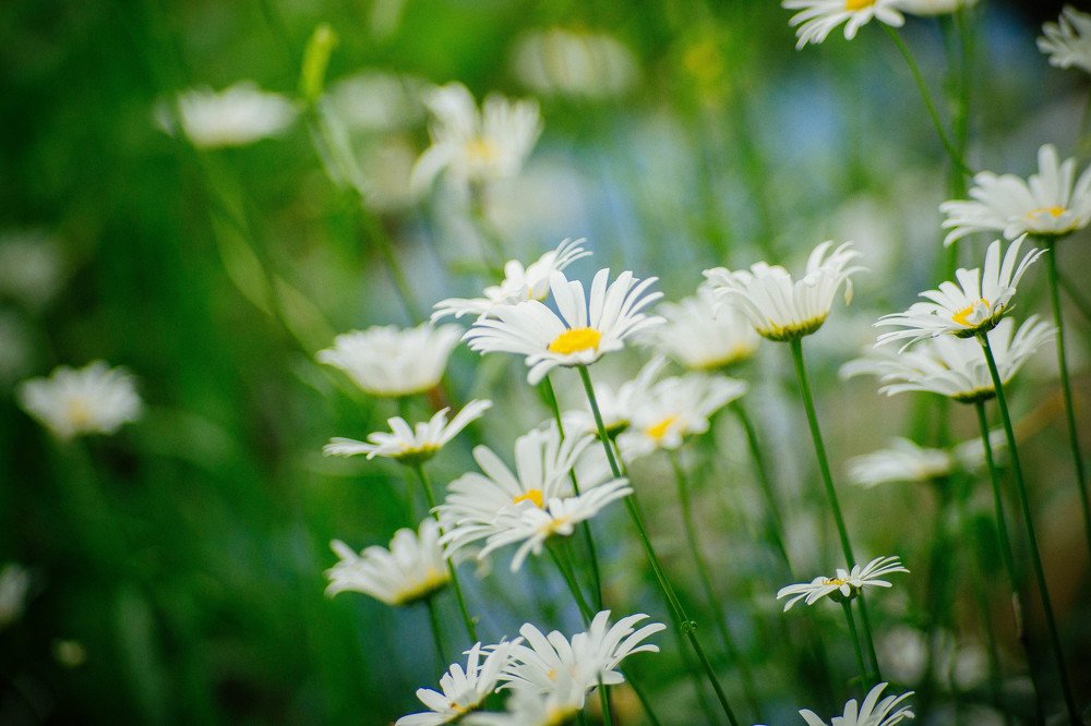 Photograph by Ксения Хлопова