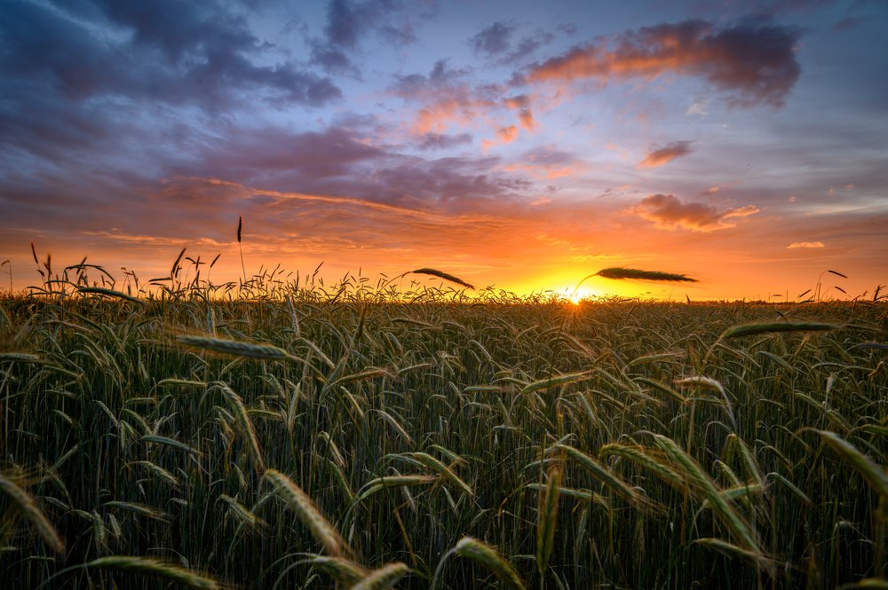 Photograph by Roman Dmitriev