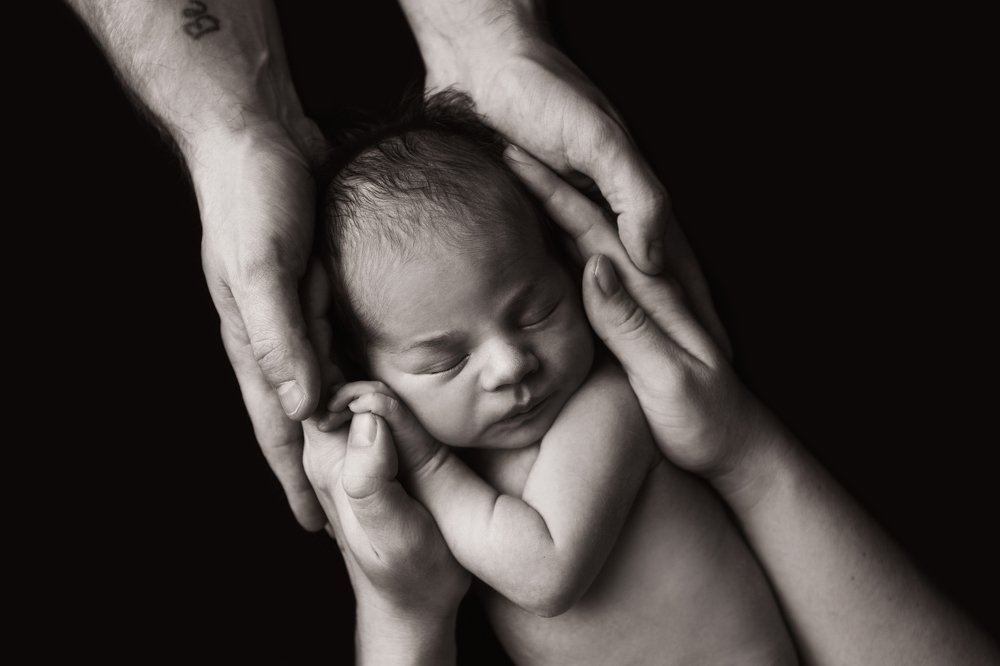 Photograph by Нагибина Анастасия