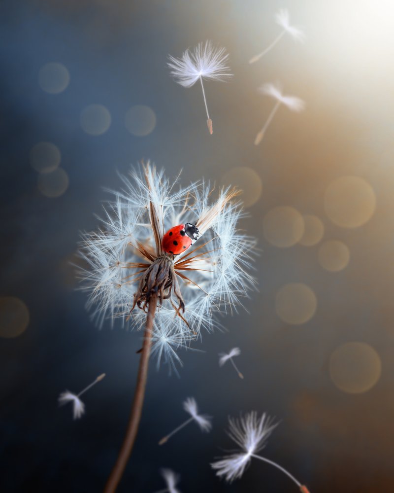 Photograph by Евгений Горланов