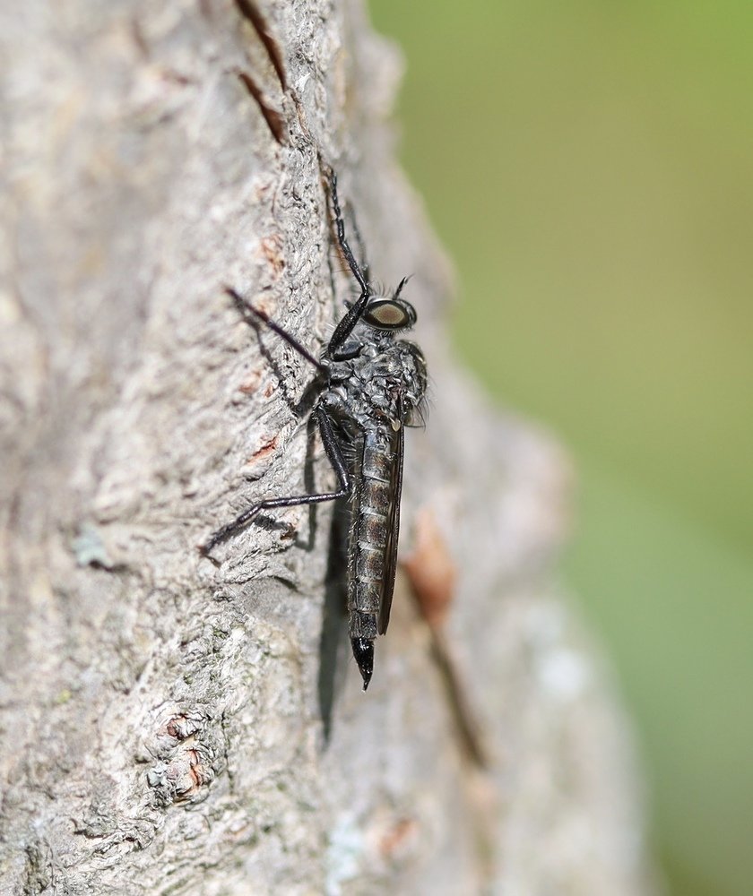 Photograph by Каролина Дидур