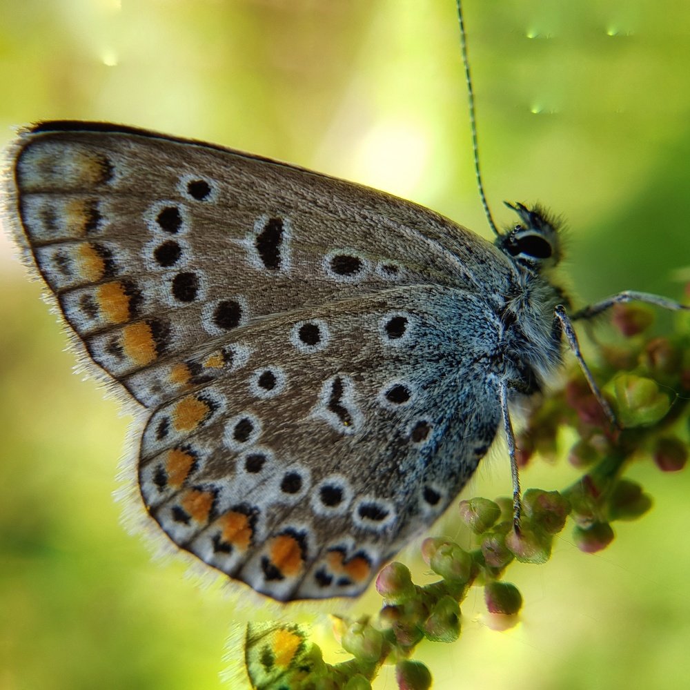 Photograph by Татьяна Мельникова