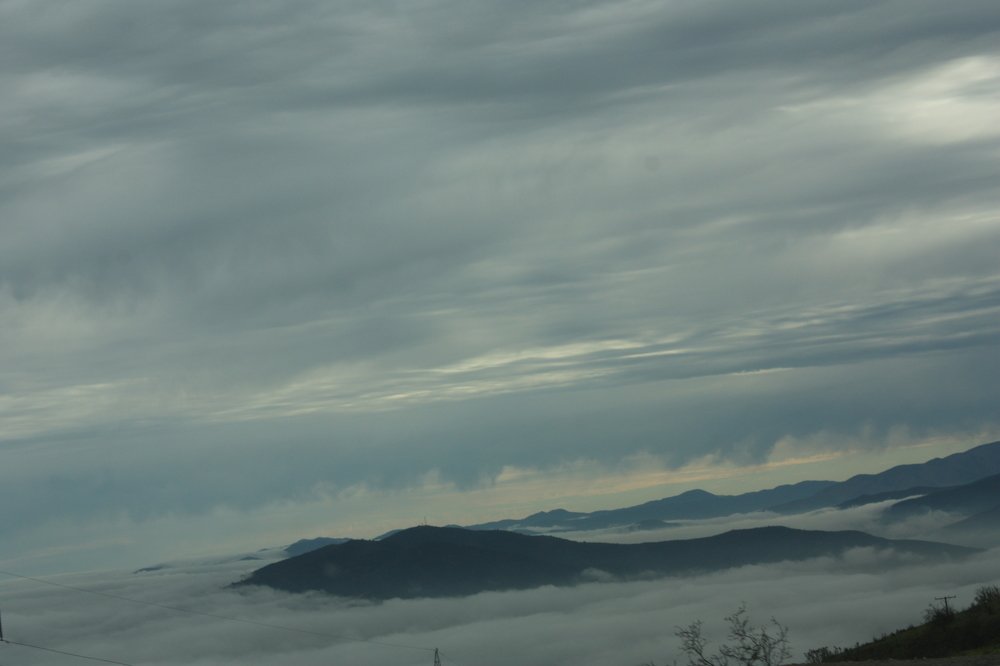 Photograph by Maria Angelica Urzua Piffaut