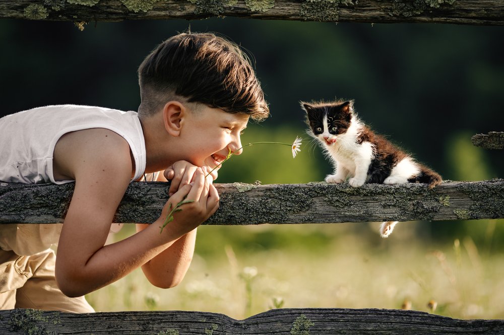 Photograph by Анна Ткач