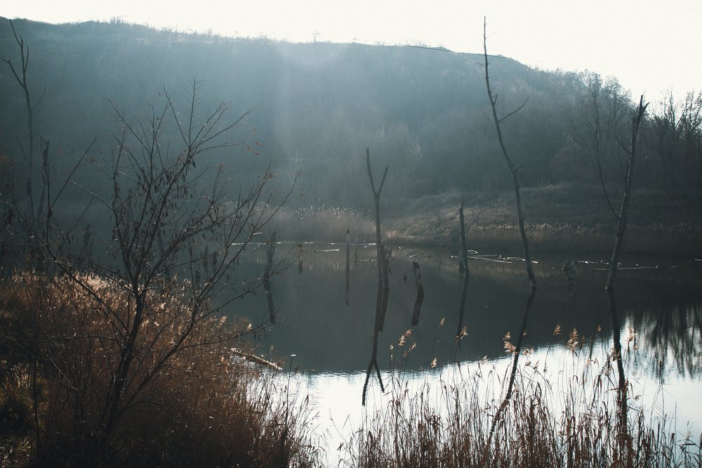 Photograph by Наталья Шёлкова