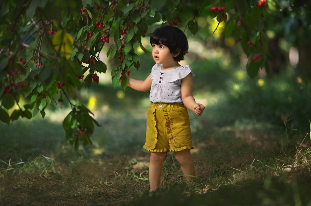 Фотография автора Ela Fatehi