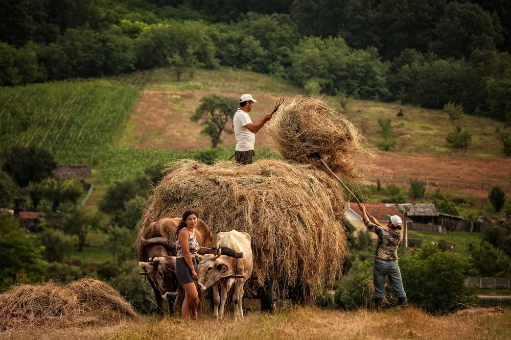 Фотография автора Rucsandra Calin