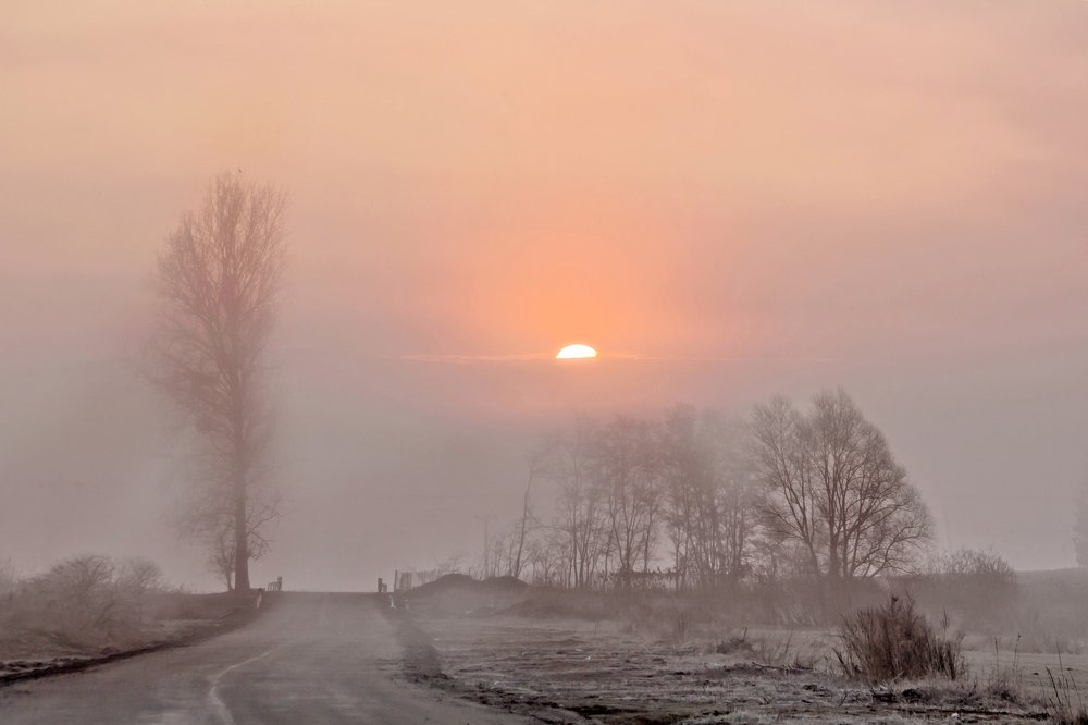 Фотография автора Rucsandra Calin