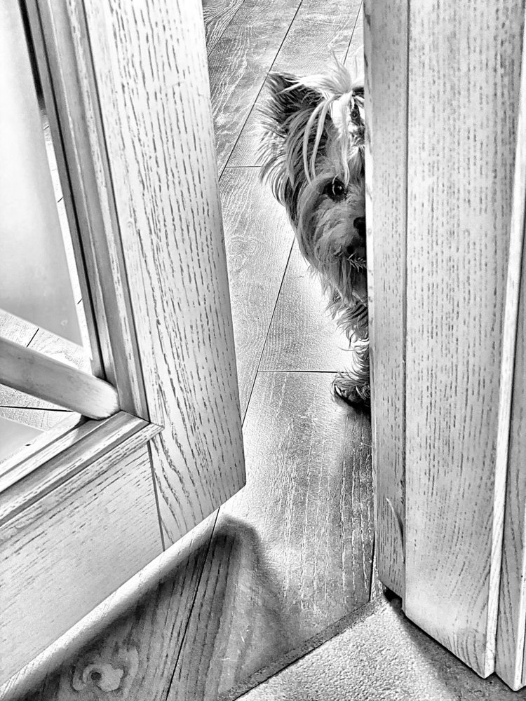 Photograph by Лилия Куюн