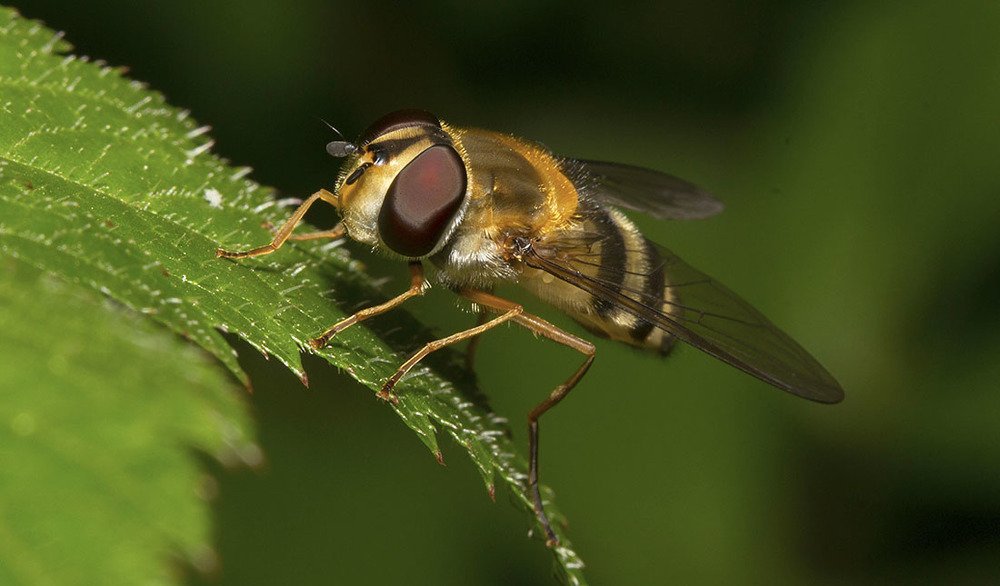 Фотография автора Марина Кулакова