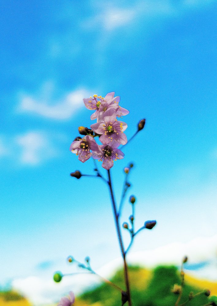 Photograph by Barnabas Oseghale