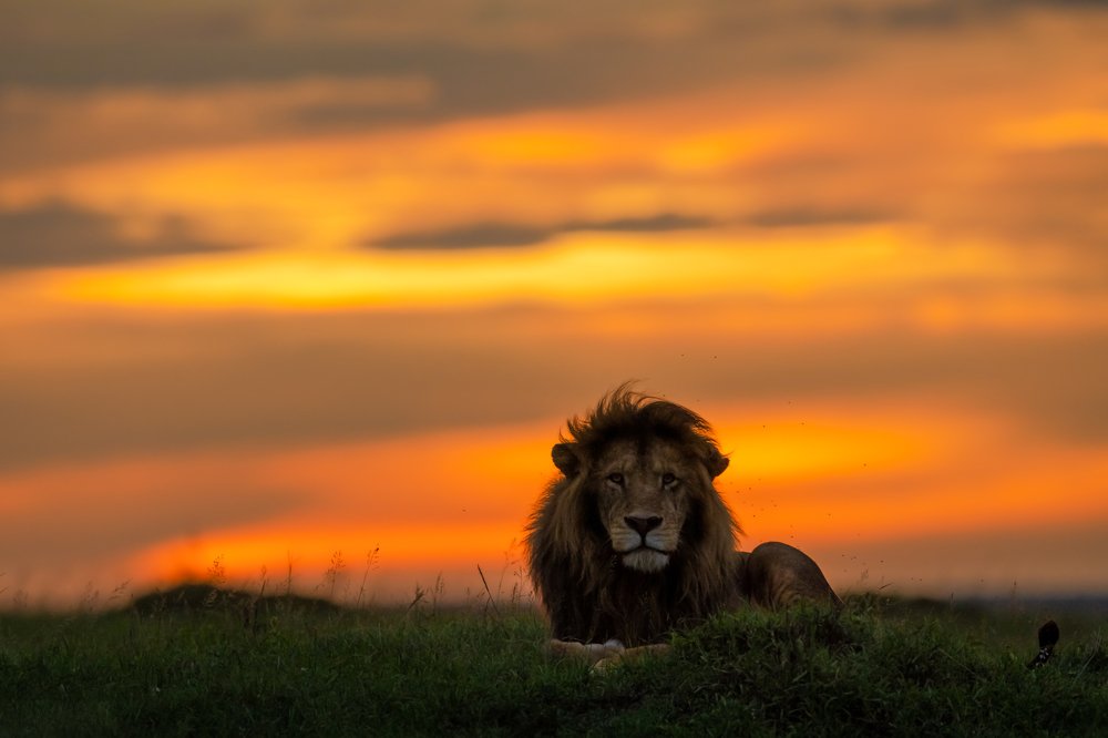 Photograph by Sivakumar N