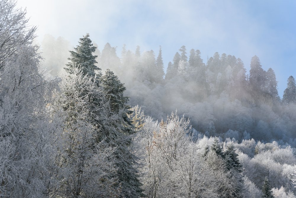 Photograph by Мария Швец