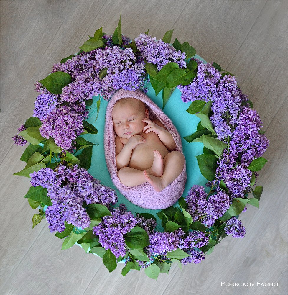 Photograph by Раевская Елена