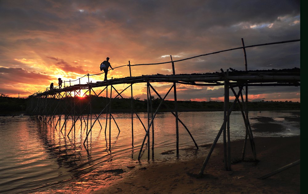 Cầu tre Cẩm Đồng