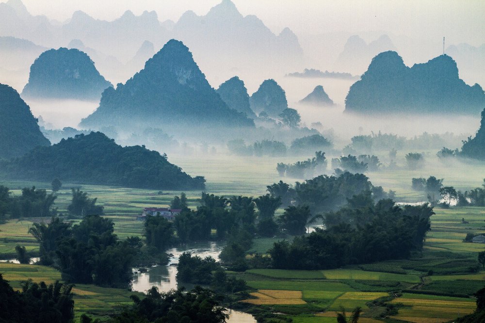 Photograph by Tuấn Huỳnh