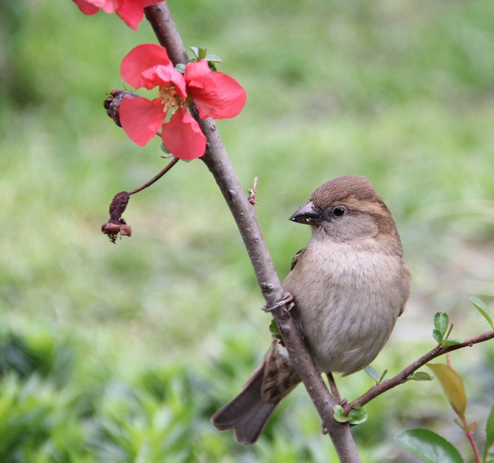Photograph by Антонина Владимировна Завальнюк