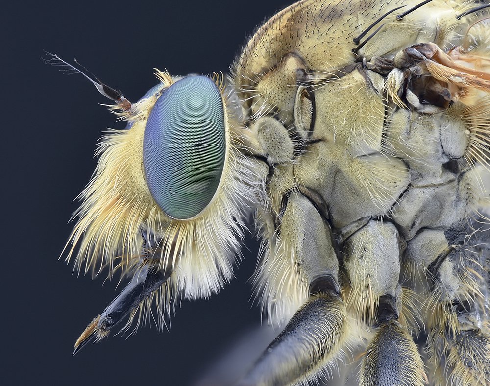 Photograph by Fauzan Alfin