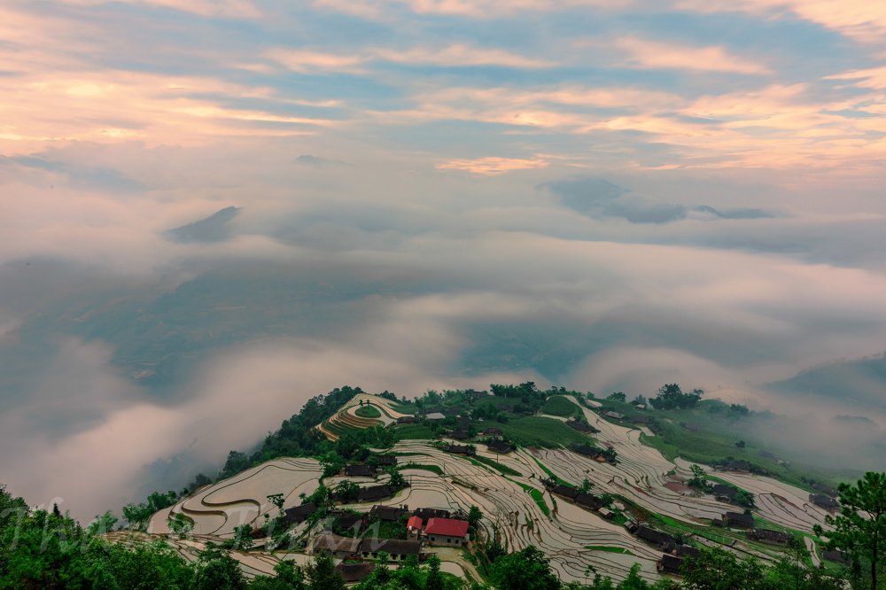 Photograph by Tuấn Huỳnh