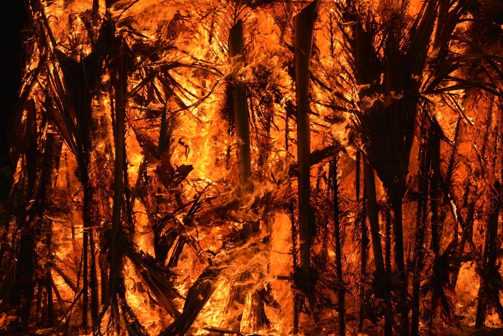 Photograph by Bhavana Sivayokan