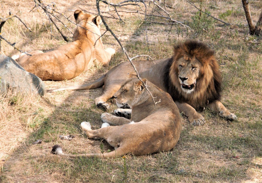 Photograph by Антонина Владимировна Завальнюк