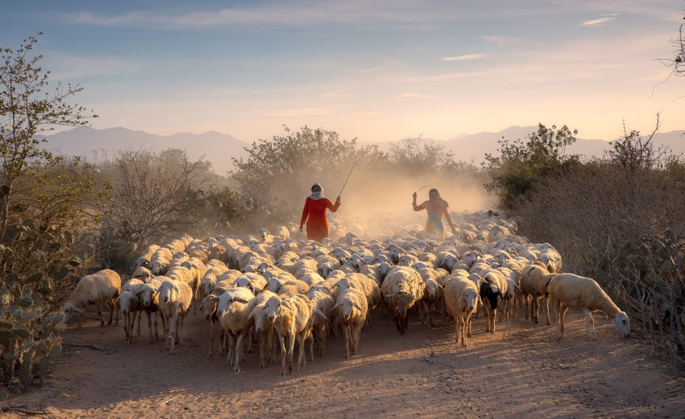 Photograph by Tuấn Huỳnh