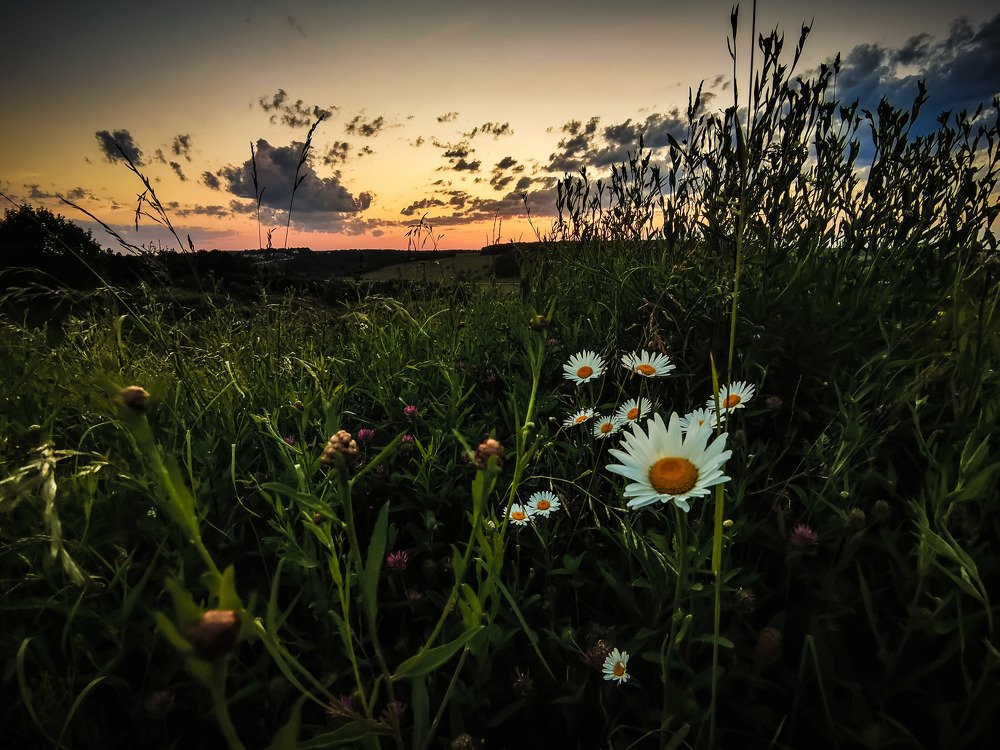 Photograph by Олег Догонов