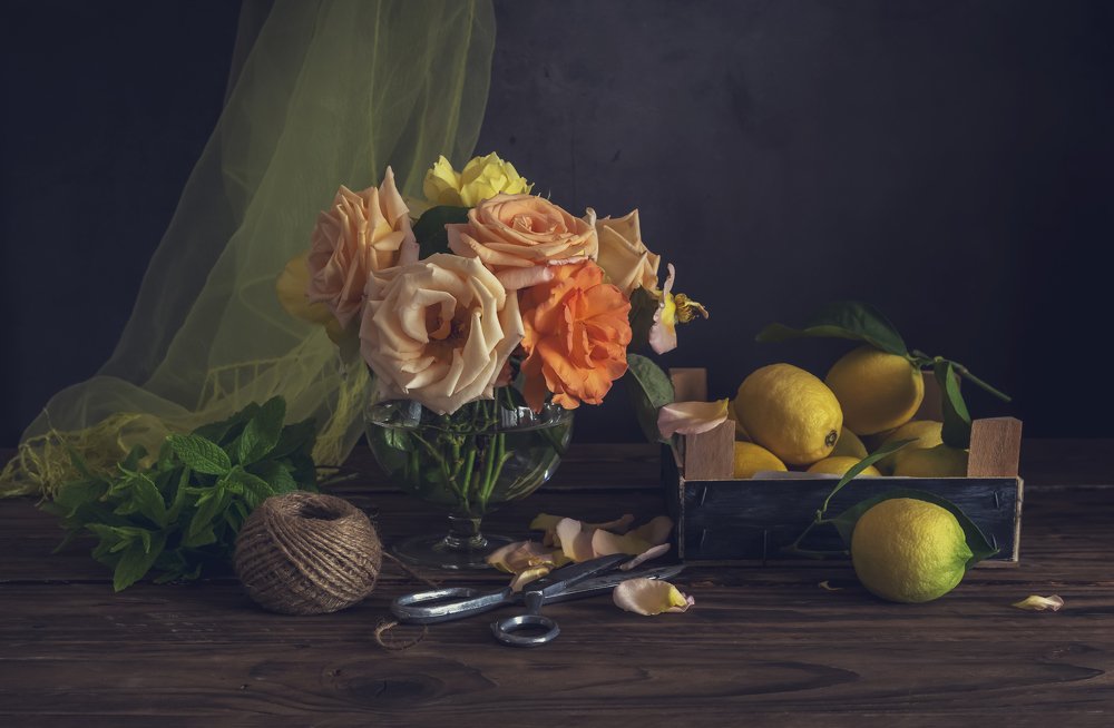 Photograph by TETYANA LYAPI