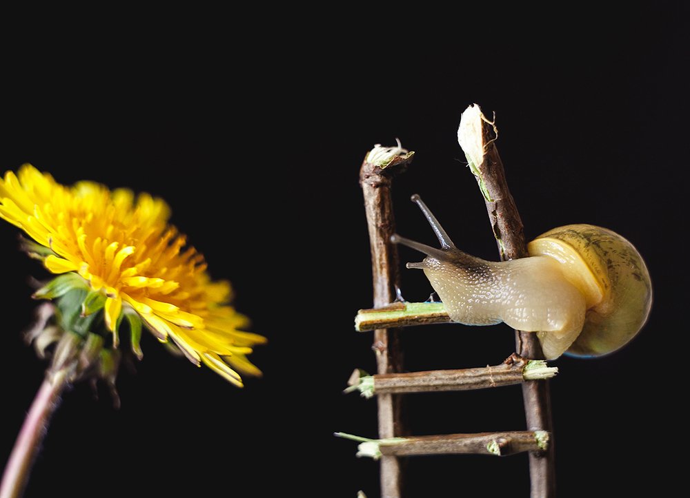 Фотография автора Дмитрий Гусалов