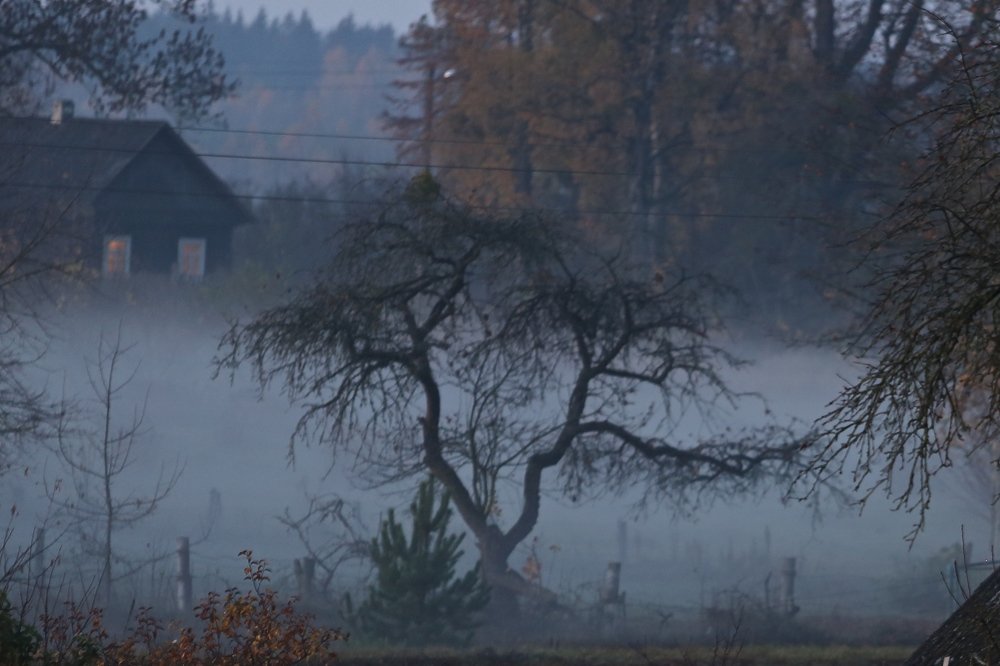 Фотография автора Наталья Васько -Черданцева