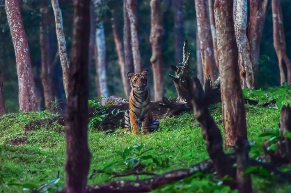 Photograph by Uthaiah Pattachravanda