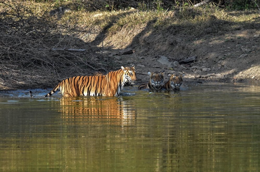 Photograph by Uthaiah Pattachravanda