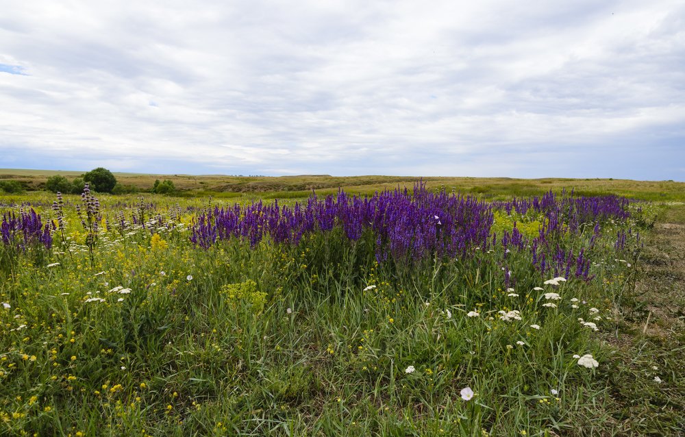 Photograph by Дмитрий Филев