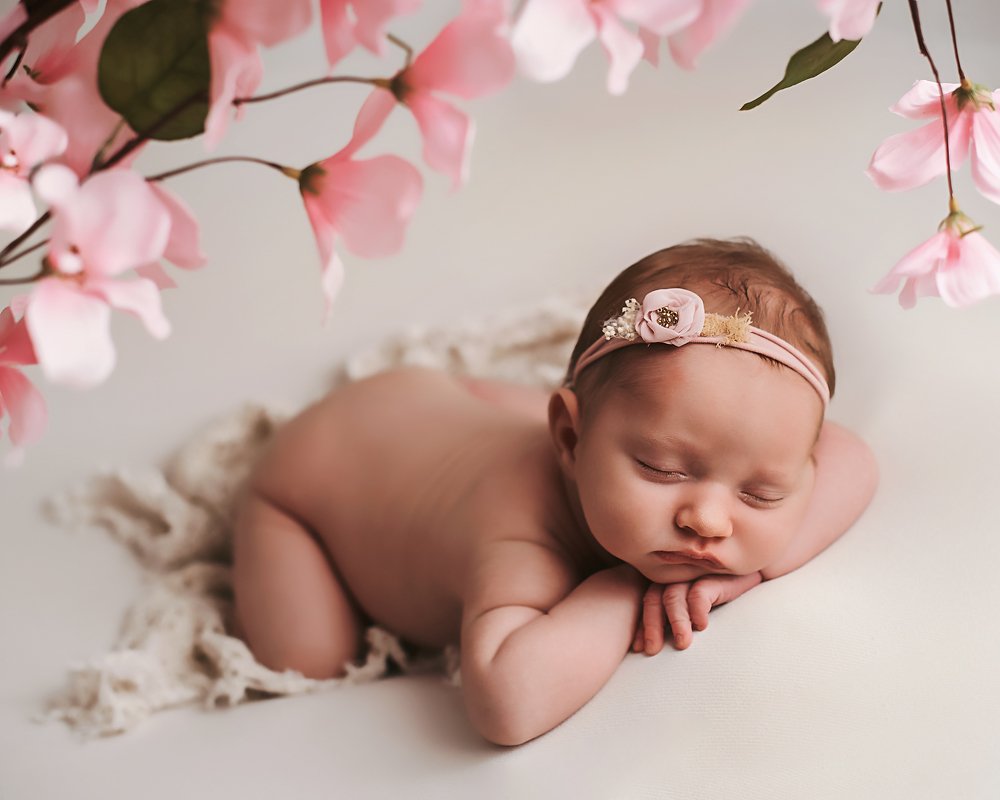 Photograph by Tatiana Kahl