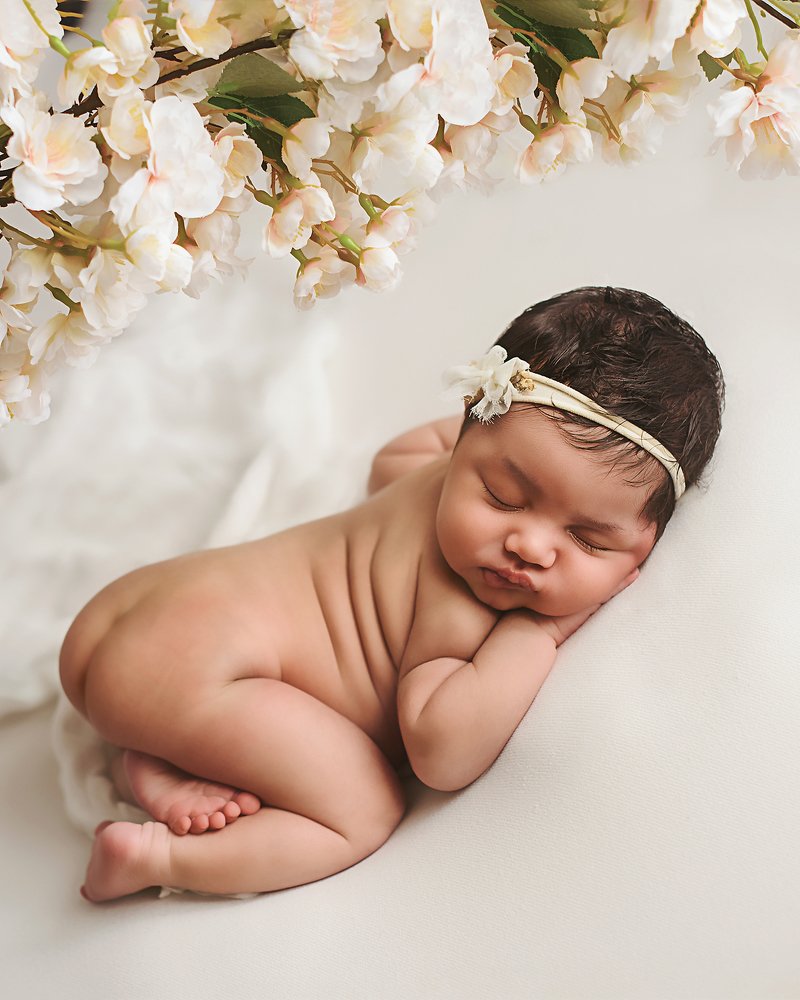 Photograph by Tatiana Kahl