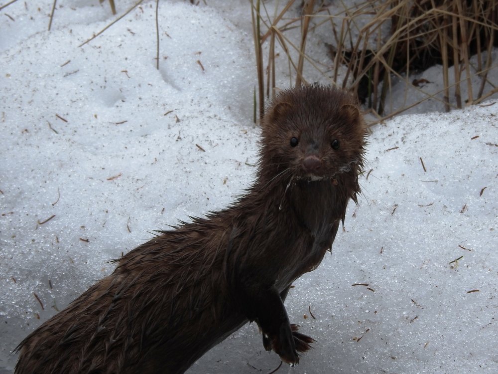 Photograph by Josée Beauchemin