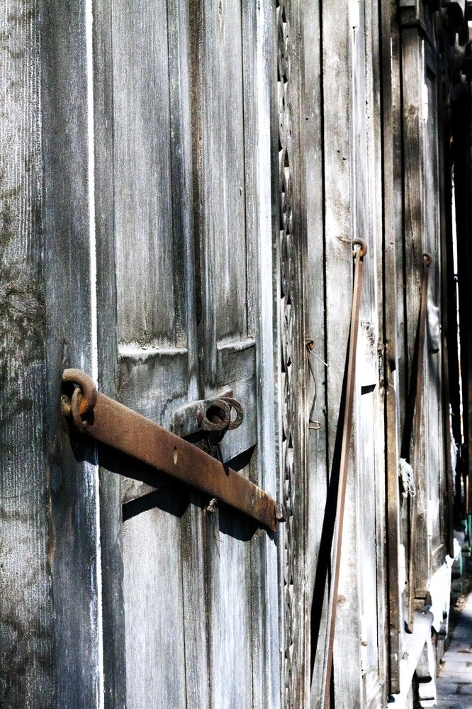 Photograph by Светлана Шестакова