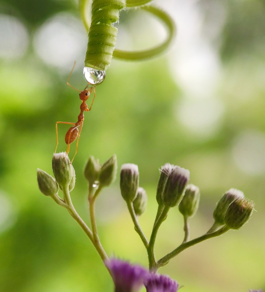 Photograph by Abhishek Manna