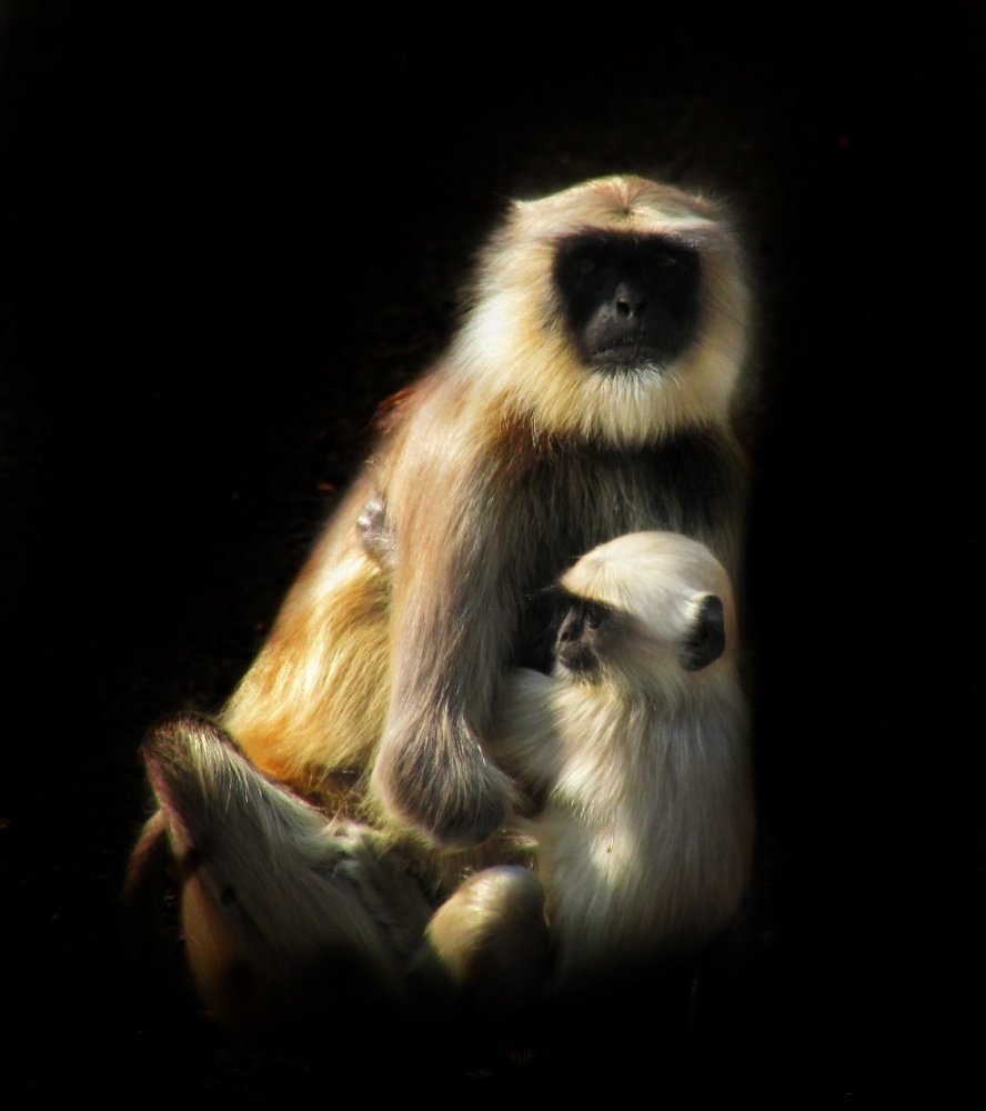 Mothers love