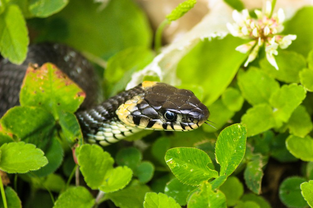 Photograph by Елена Верховская