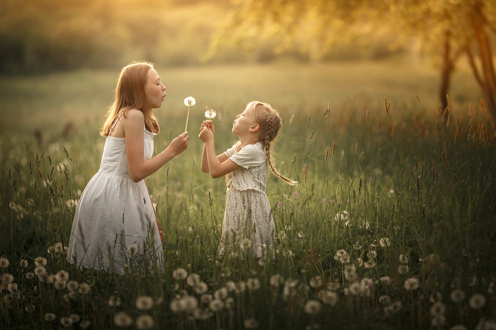 Photograph by Тимофей Шутов