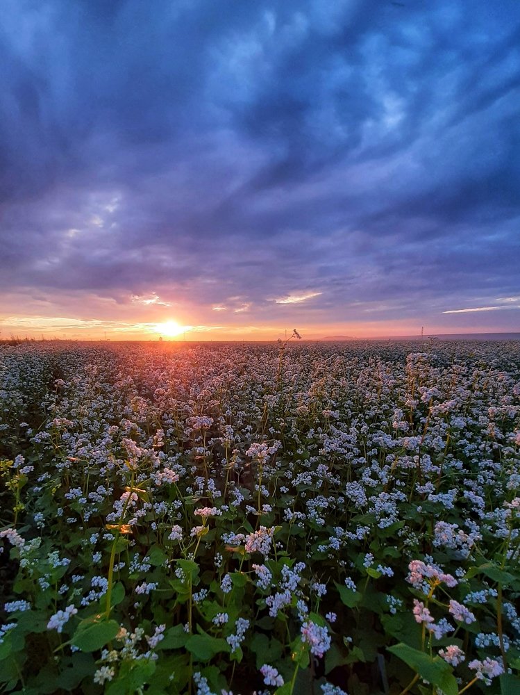 Photograph by Юлия Серазетдинова