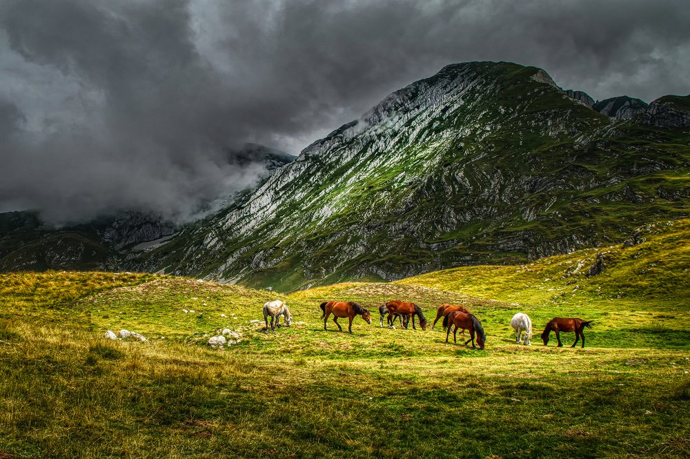 Photograph by Milan Gabarić