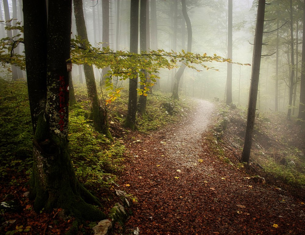 Photograph by Milan Gabarić